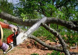 Soil Testing and Treatment in Abbeville, GA